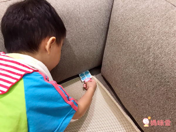 日本 沒螨家 - 塵螨誘引去除劑-6入/盒*5