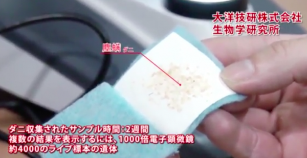 日本 沒螨家 - 塵螨誘引去除劑-6入/盒*5