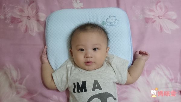 Aj Hippo 小河馬天絲乳膠枕