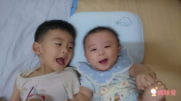 Aj Hippo 小河馬天絲乳膠枕