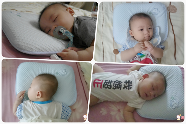 Aj Hippo 小河馬天絲乳膠枕