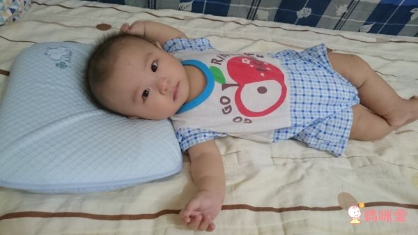 Aj Hippo 小河馬天絲乳膠枕