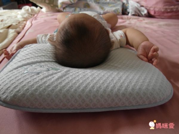 Aj Hippo 小河馬天絲乳膠枕