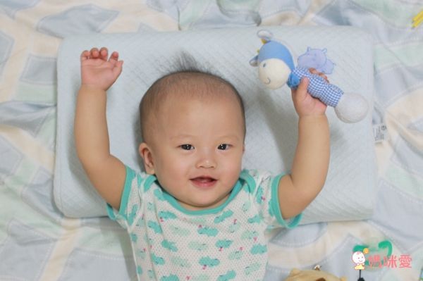 Aj Hippo 小河馬天絲乳膠枕