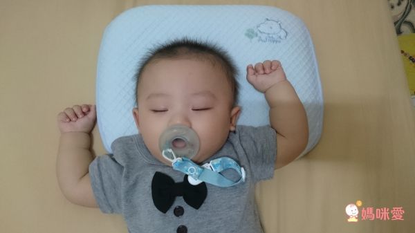 Aj Hippo 小河馬天絲乳膠枕