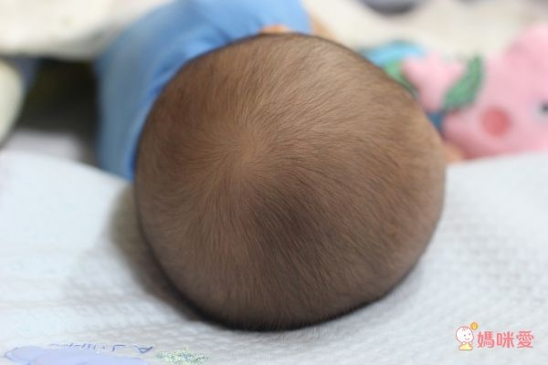 Aj Hippo 小河馬天絲乳膠枕