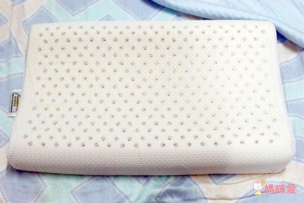 Aj Hippo 小河馬天絲乳膠枕