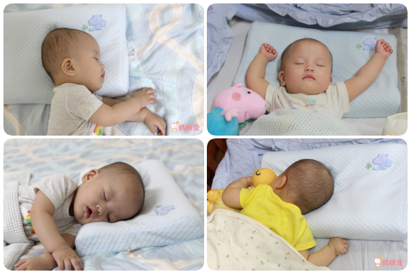 Aj Hippo 小河馬天絲乳膠枕