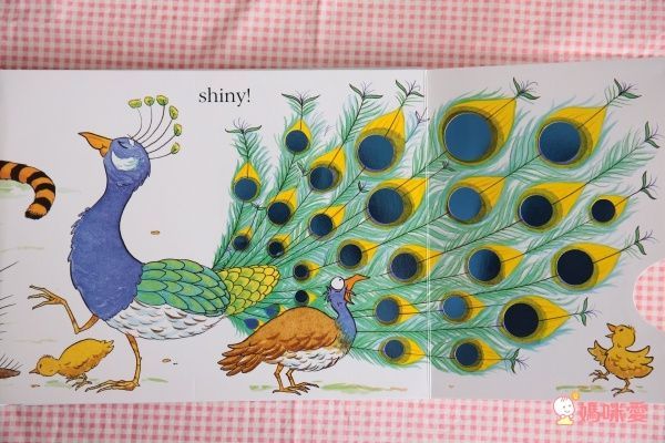 人氣外文操作書✭部落客都推薦的百葉窗書 / 觸摸翻翻書/ 推拉操作書