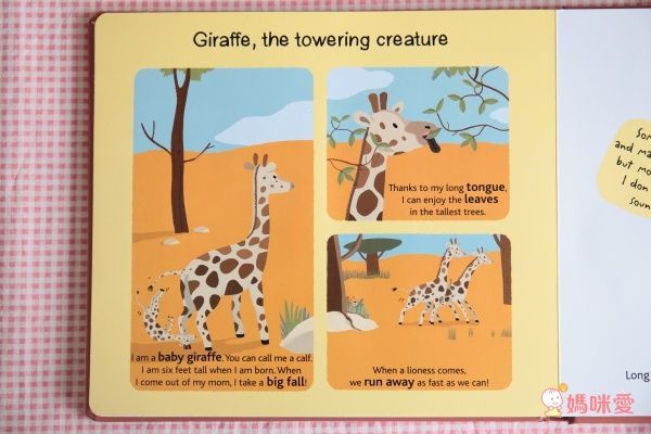 人氣外文操作書✭部落客都推薦的百葉窗書 / 觸摸翻翻書/ 推拉操作書