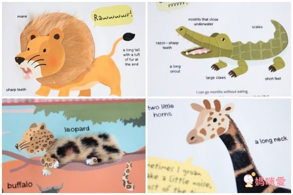 人氣外文操作書✭部落客都推薦的百葉窗書 / 觸摸翻翻書/ 推拉操作書