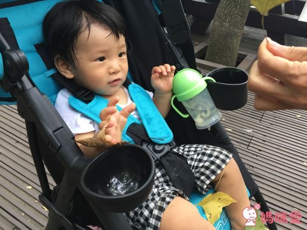 ZOE Xtra Lligt V2 嬰幼兒手推車 F13