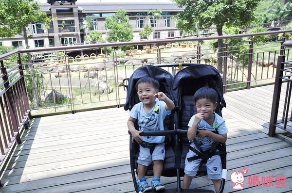 ZOE XL2 BEST v2 嬰幼兒手推車 T600