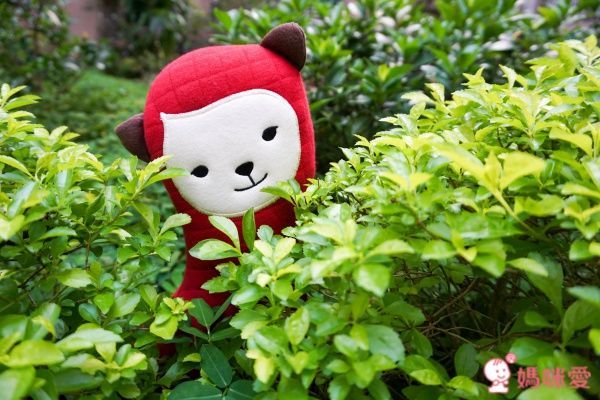 韓國 kidu hugdoll 可愛羊駝安全帶抱枕