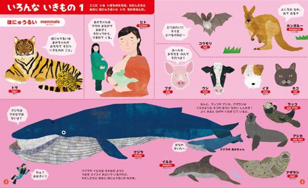 日本小學館 NEO系列翻翻書圖鑑