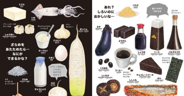 日本小學館 NEO系列翻翻書圖鑑