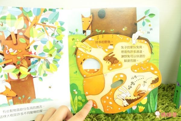 【維京國際】神奇AR互動書♡偷偷看一下知識系列♡