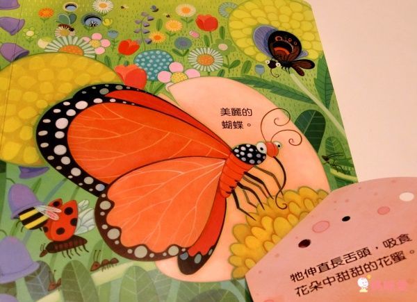 【維京國際】神奇AR互動書♡偷偷看一下知識系列♡