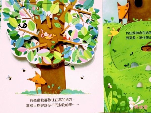 【維京國際】神奇AR互動書♡偷偷看一下知識系列♡