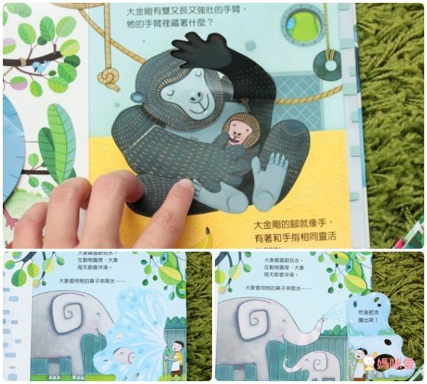 【維京國際】神奇AR互動書♡偷偷看一下知識系列♡