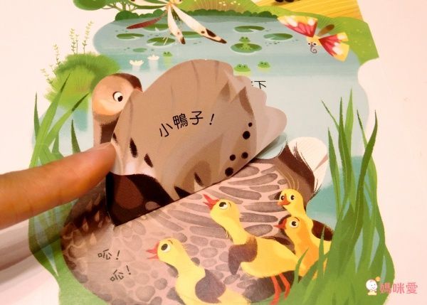 【維京國際】神奇AR互動書♡偷偷看一下知識系列♡