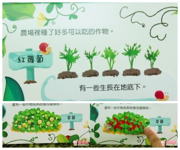 【維京國際】神奇AR互動書♡偷偷看一下知識系列♡