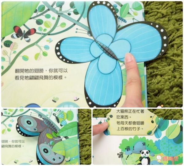 【維京國際】神奇AR互動書♡偷偷看一下知識系列♡