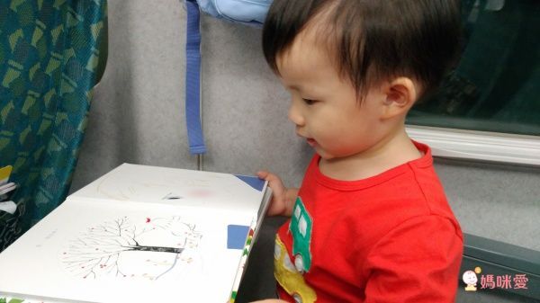 【維京國際】神奇AR互動書♡偷偷看一下知識系列♡