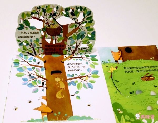 【維京國際】神奇AR互動書♡偷偷看一下知識系列♡