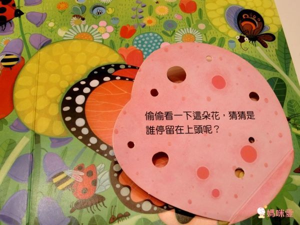 【維京國際】神奇AR互動書♡偷偷看一下知識系列♡