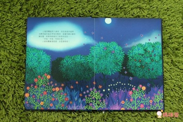 【維京國際】神奇AR互動書♡偷偷看一下知識系列♡