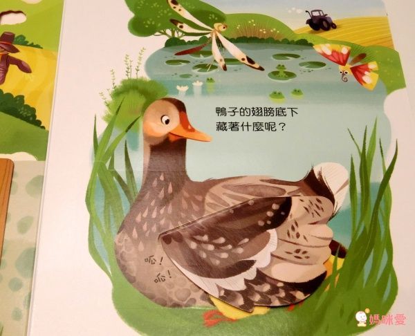 【維京國際】神奇AR互動書♡偷偷看一下知識系列♡