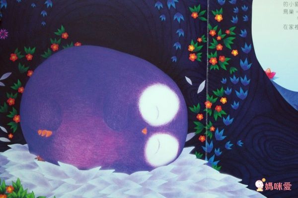 【維京國際】神奇AR互動書♡偷偷看一下知識系列♡