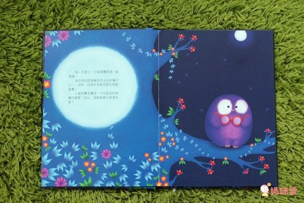 【維京國際】神奇AR互動書♡偷偷看一下知識系列♡