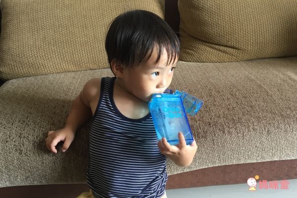 加拿大【Drink in the box】Tritan 吸管杯