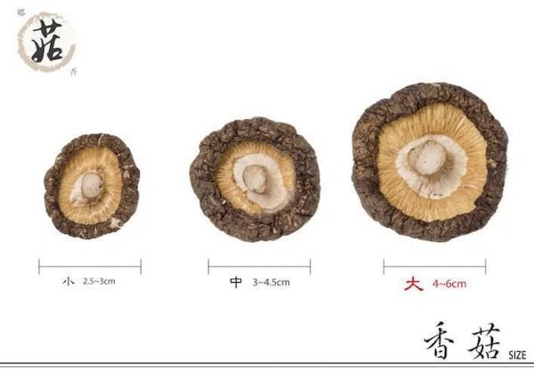 【鄉菇香】有機認證乾香菇！最優秀冬菇品種－黑早冬菇！