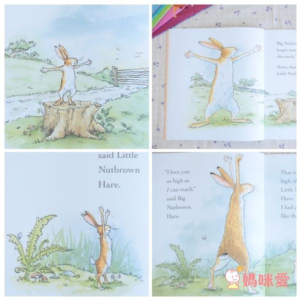 收藏英美大師繪本!【Mo Willems & Julia Donaldson】經典名著♕