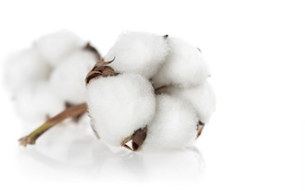 韓國 Maykids 早秋家居服