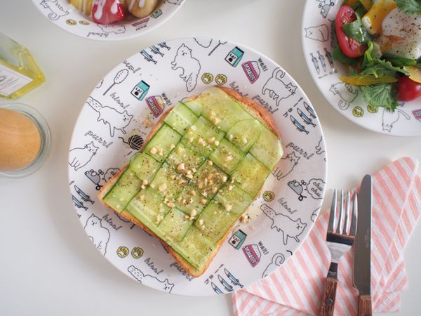 日本SHINA CASA 和風食器