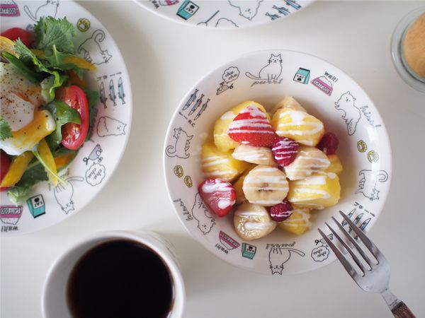 日本SHINA CASA 和風食器