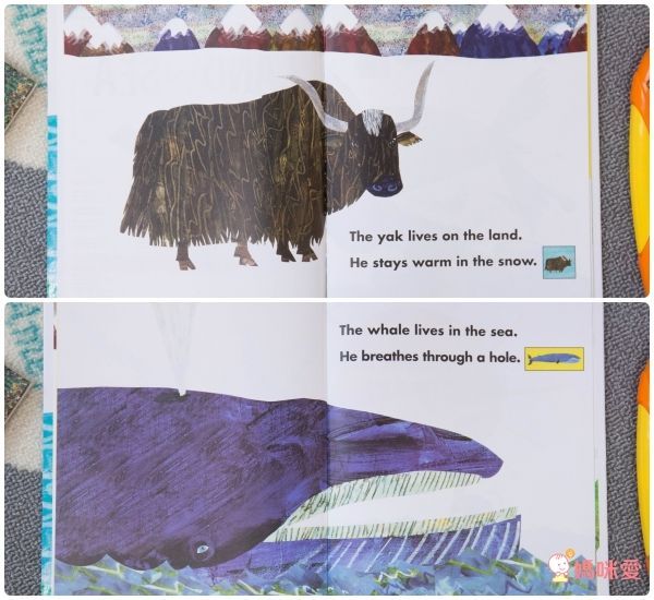 【禾流文創】國際繪本艾瑞卡爾有聲學習套書 / 會動的小汽車立體書！