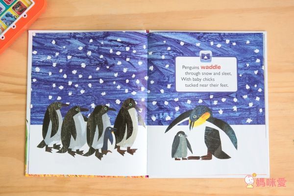 【禾流文創】國際繪本艾瑞卡爾有聲學習套書 / 會動的小汽車立體書！