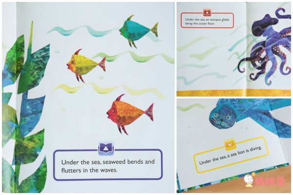 【禾流文創】國際繪本艾瑞卡爾有聲學習套書 / 會動的小汽車立體書！