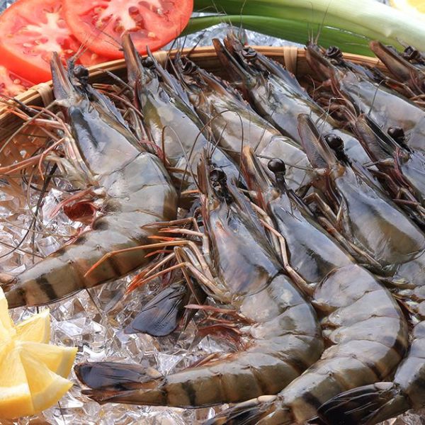 【安永鮮物】中秋奢華海陸烤肉組