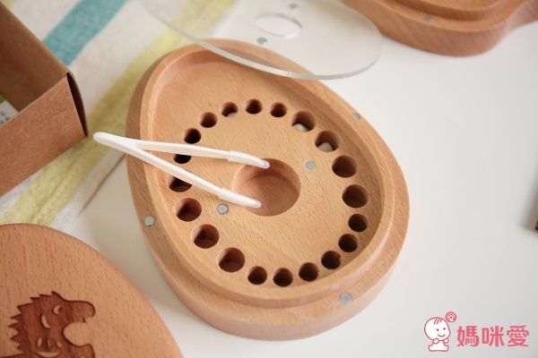 原木客製乳牙儲存盒