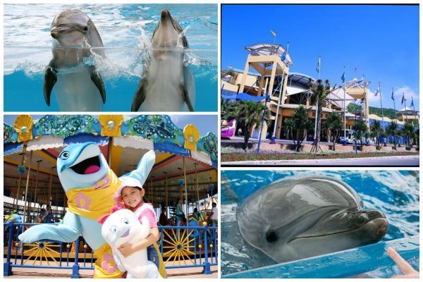 【花蓮福容大飯店】眺望太平洋海景客房