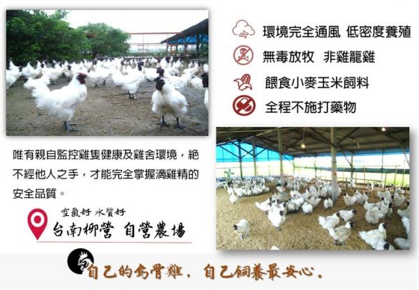 黑色奇雞 烏骨雞滴雞精