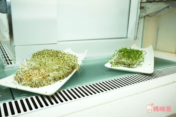 一泊二食專案！【宜蘭悅川酒店】★ 超友善親子飯店