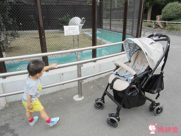 Combi Handy Auto 4 Cas Light 雙向輕量型嬰幼兒手推車