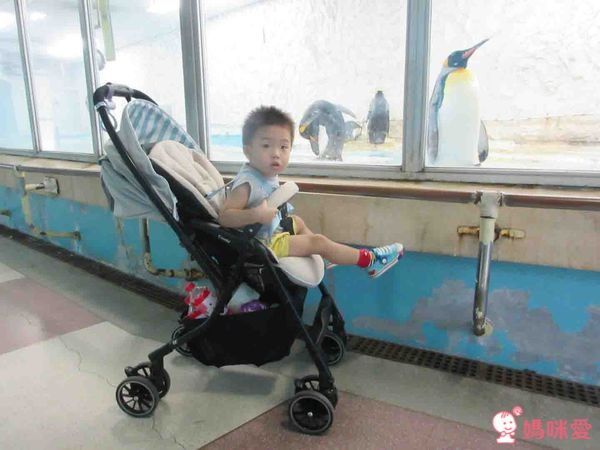 Combi Handy Auto 4 Cas Light 雙向輕量型嬰幼兒手推車